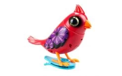 Digibirds Cardinal