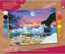 Schilderen Op Nummer "Sequin Art" Senior Paarden