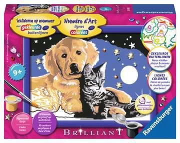 Schilderen Op Nummer Schitterend Sterrenhemel 3 Schilderen Op Nummer Schitterend Sterrenhemel