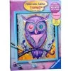 Schilderen Op Nummer Dromende Uil 2 Schilderen Op Nummer Dromende Uil -Speelgoedverkoop 4005556284269 1