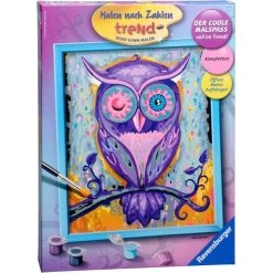 Schilderen Op Nummer Dromende Uil