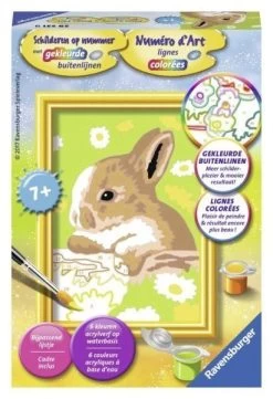 Schilderen Op Nummer Konijn Vlekkie