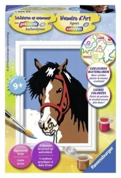 Schilderen Op Nummer Paardenblik