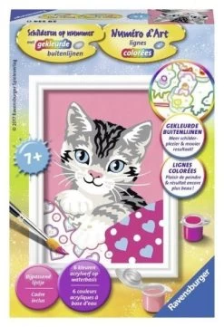 Schilderen Op Nummer Poesje