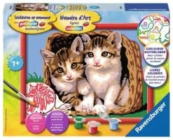 Schilderen Op Nummer Katjes In Mand