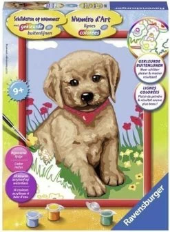 Schilderen Op Nummer Kleine Vriend