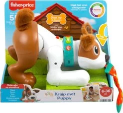 Fisher-Price Kruip Met Puppy - Babyspeelgoed Met Licht En Geluid