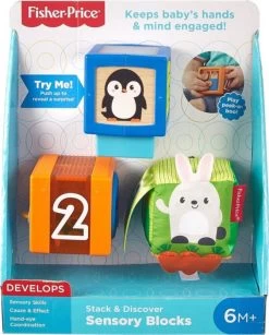 Fisher Price Stapel En Ontdek Blokken